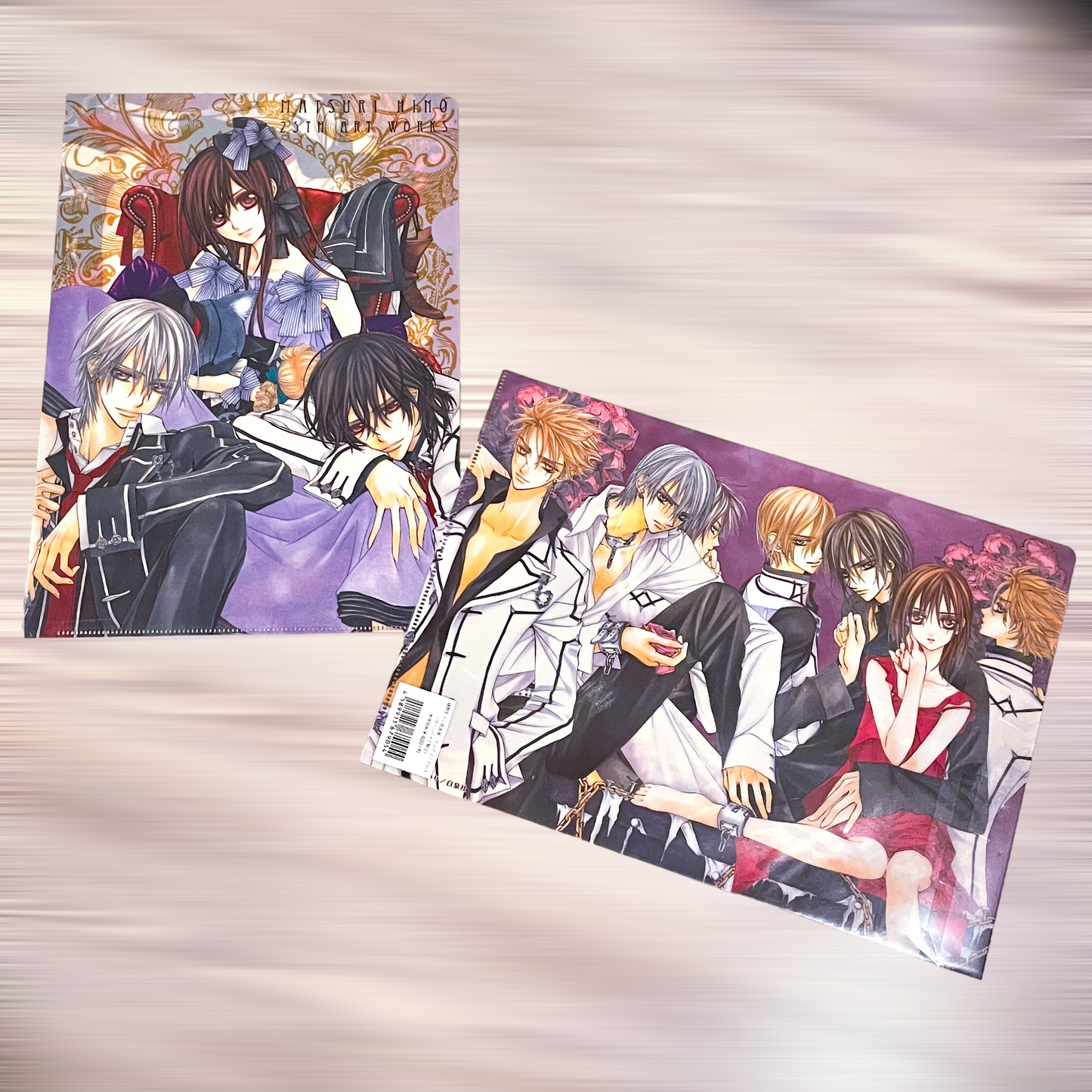 Vampire Knight clear file folder - 15th anniversary - Hino Matsuri
